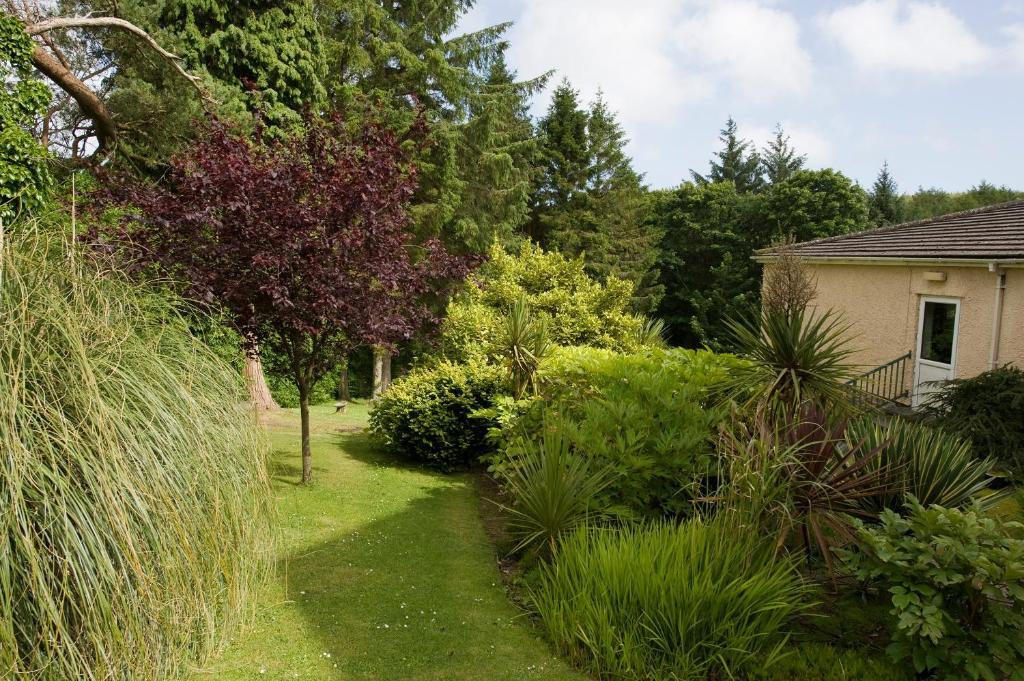 Cwmwennol Country House ซอนเดอร์สฟุต ภายนอก รูปภาพ