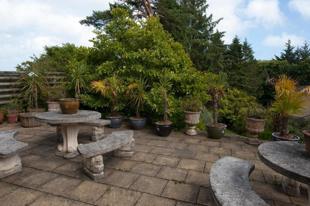 Cwmwennol Country House ซอนเดอร์สฟุต ภายนอก รูปภาพ